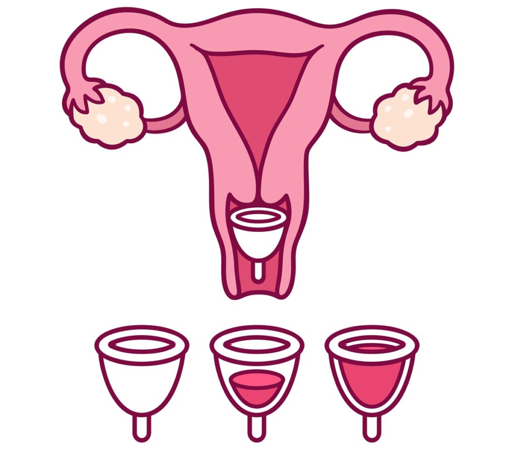 kubek menstruacyjny aplikacja
